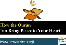 How the Quran Can Bring Peace to Your Heart