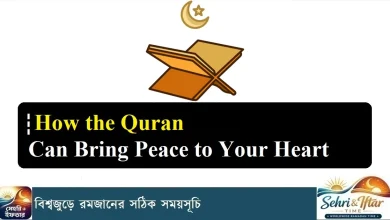 How the Quran Can Bring Peace to Your Heart